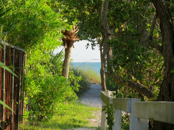 Hidden trail to the beach on Anna Maria Island, Florida.