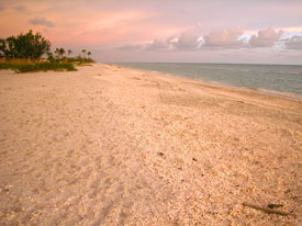 blind_pass_sanibelbeach_photo.jpg