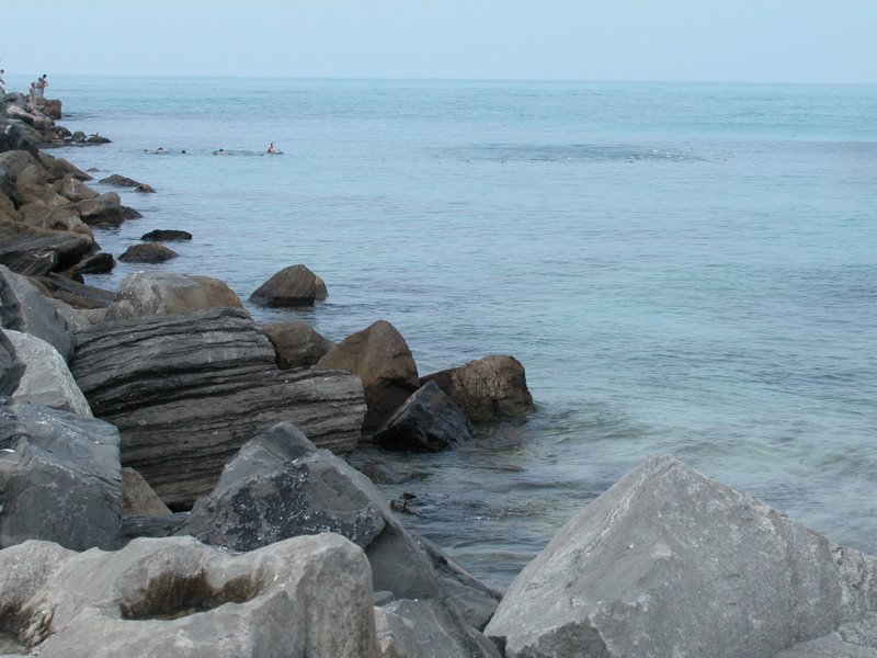 Snorkeling at the rock jetty at St. Andrews State Park.