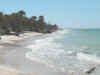 high_tide_beach6377.jpg (41891 bytes)