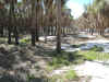hurricane_overwash6355.jpg (51246 bytes)