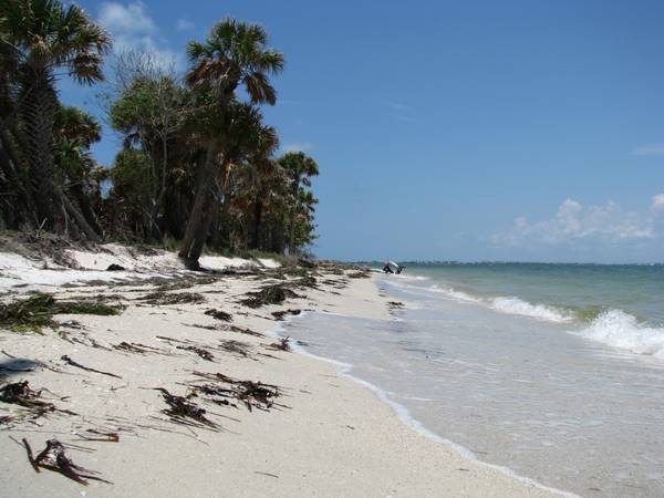 Cayo Costa beach near Quarrantine Point.