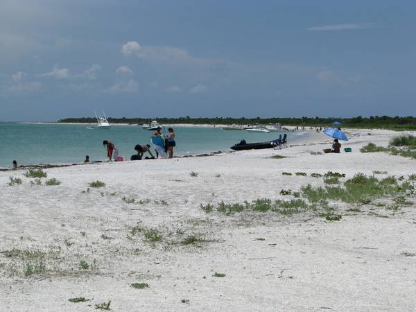 Crescent-shaped beach on Cayo Costa Island State Park, Florida.