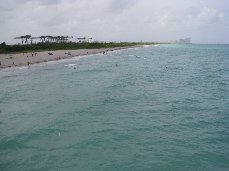 Looking north from the Dania Pier.