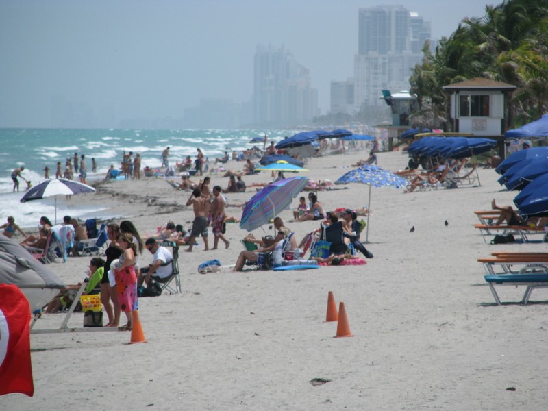 Dania Beach crowd.