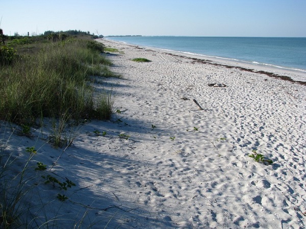 This is the beach at Don Pedro Island State Park.