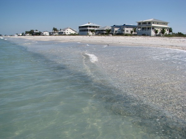 Water's edge on Don Pedro Island.