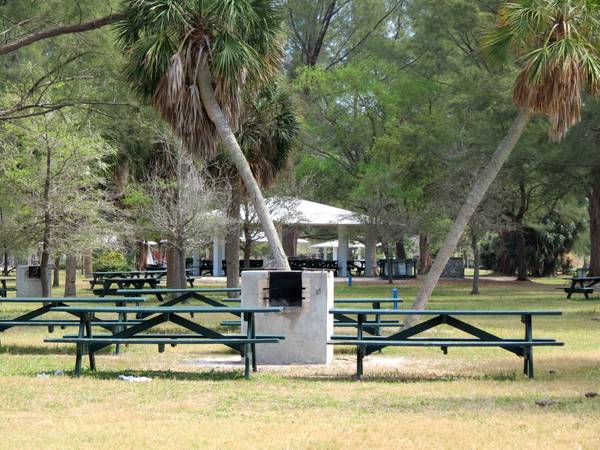 Picnic facilities in Fort Desoto Park.