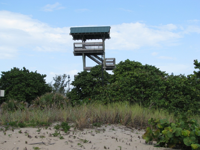 North Beach Park observation tower.
