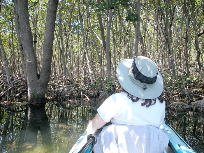 Kayaking Fort Desoto Park Florida