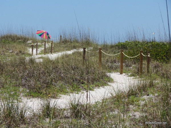 Dunes at Whitney Beach, Longboat Key, Florida.