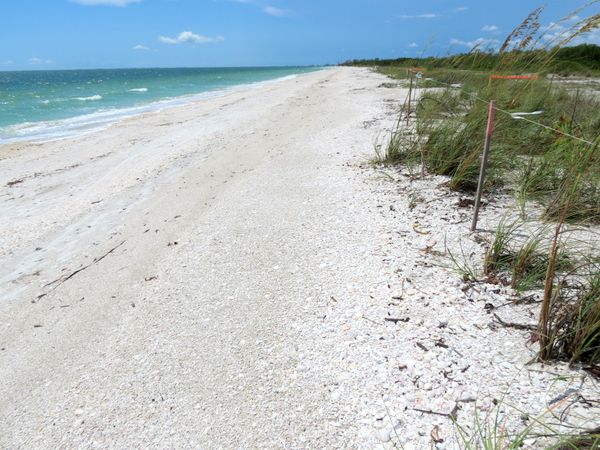 Lover's Key beach and dunes.