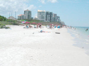 naples clam pass beach photo looking south.jpg