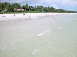 photo of beach view from naples pier.jpg