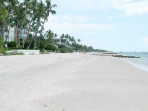 beach photo south of lowdermild park naples florida.jpg