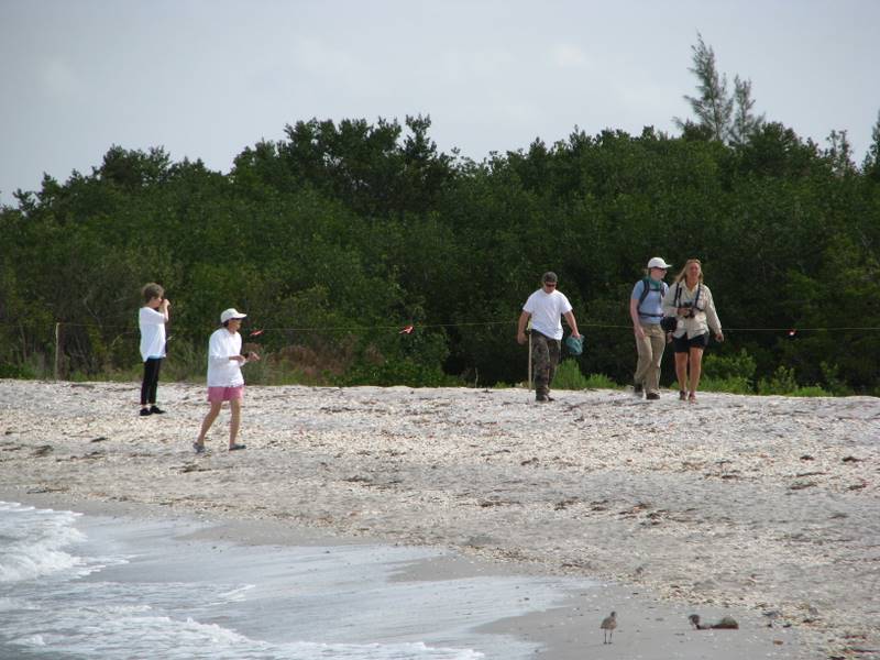 Shorebirds stewards on Palm Island Beach. Charlotte County, Florida.