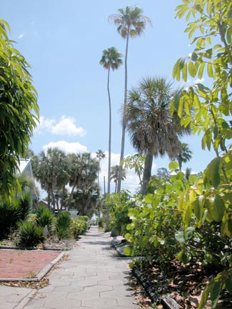 Pass A Grille neighborhood scene.jpg