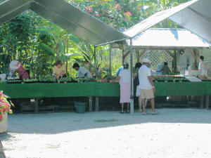 Pine Island Fruit Market photo.jpg