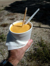 Pine Island mango smoothie photo.jpg