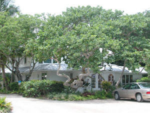 Crossed Palms Art Gallery in Bokeelia Pine Island Florida.jpg