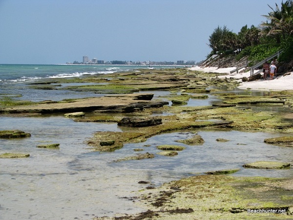 Point-of-Rocks beach, Siesta Key, Florida.