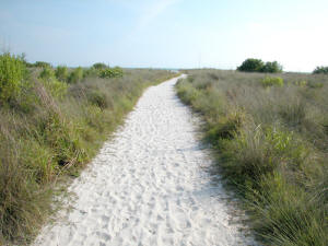 walking trail to siesta beach.jpg