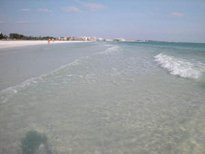 shallow water siesta beach.jpg