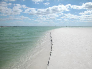 siesta beach sand bar.jpg