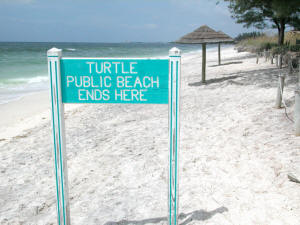 turtle beach sign.jpg