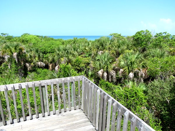 View from observation tower at Delnor Wiggins Park.