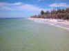 making_landfall6342.jpg (48876 bytes)