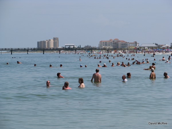 Swimmin at Clearwater Beach in the calm waters of the Gulf of Mexico.