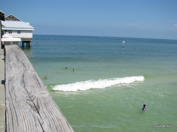 View from Pier 60, Clearwater Beach