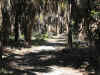 shady_interior6359.jpg (48970 bytes)