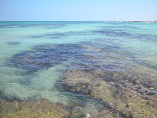 crescent beach submerged rocks.jpg