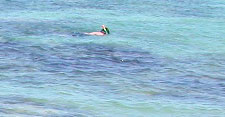 snorkeling on crescent beach photo.jpg