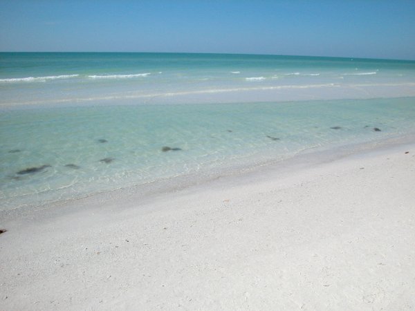 Clear Gulf of Mexico waters on Crescent Beach, Siesta Key, Florida.