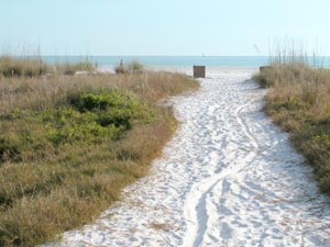 siesta beach trail photo.jpg