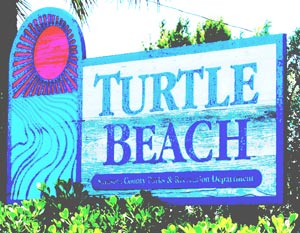 turtle beach siesta key sign photo.jpg