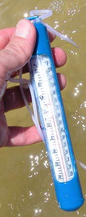 measuring the Gulf of Mexico water temperature photo