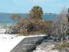 view_ft_desoto6426.jpg (43156 bytes)