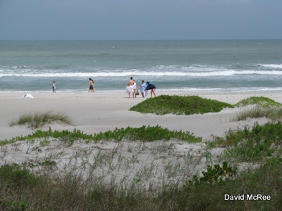 Lori Wilson Park Beach, Cocoa Beach, Florida