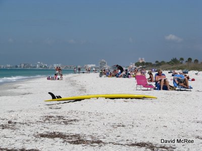 Florida Gulf Beach