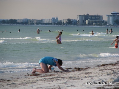 gulf beach